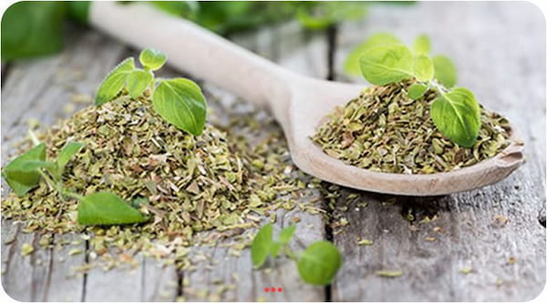 تصویر 3 از قیمت سبزی خشک مرزه با کیفیت ارزان + خرید عمده